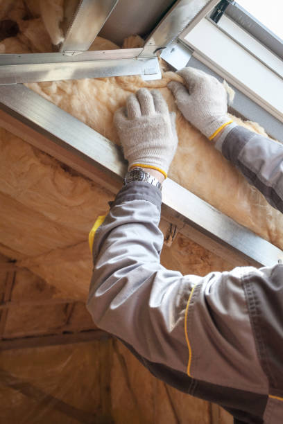 Best Commercial Insulation in Salmon Creek, WA