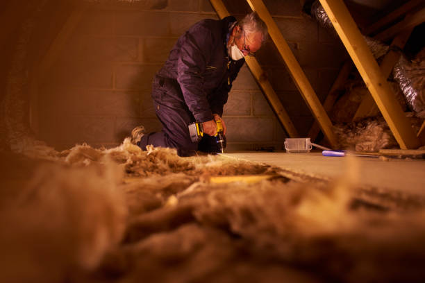 Best Insulation Installation Services in Salmon Creek, WA