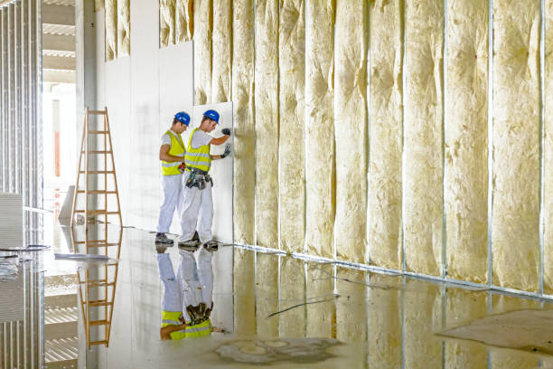 Best Types of Insulation in Salmon Creek, WA